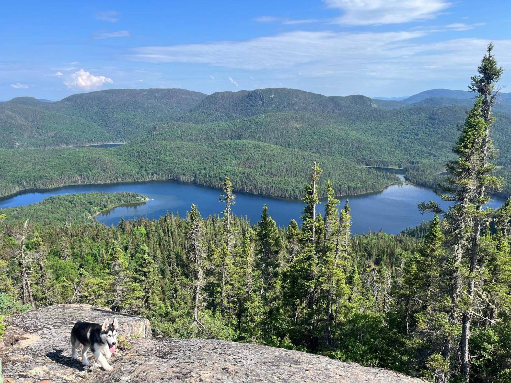Auberge Boreale De Charlevoix Petit-Saguenay Zewnętrze zdjęcie